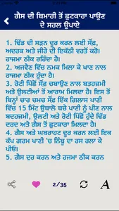 Punjabi Home Remedies Guide screenshot 4