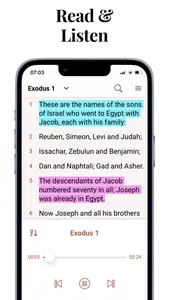 Audio Bible Offline Study App screenshot 1