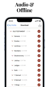 Audio Bible Offline Study App screenshot 2