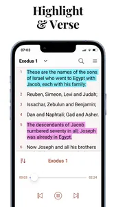 Audio Bible Offline Study App screenshot 8