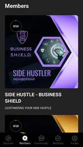 Business S.H.I.E.L.D. screenshot 1