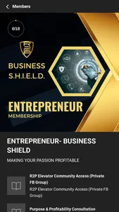 Business S.H.I.E.L.D. screenshot 3