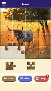 Texas Jigsaw Puzzle screenshot 1