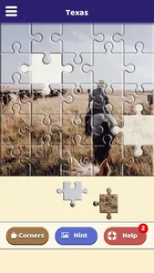 Texas Jigsaw Puzzle screenshot 2