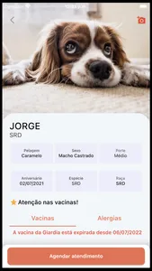 Meu Pet: histórico completo screenshot 7