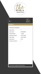The Studio screenshot 4