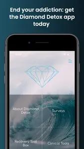 Diamond Detox screenshot 0