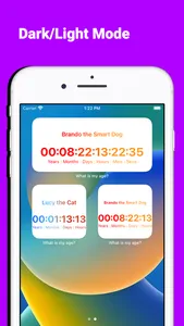 What is my age widgets screenshot 2