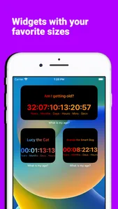 What is my age widgets screenshot 5
