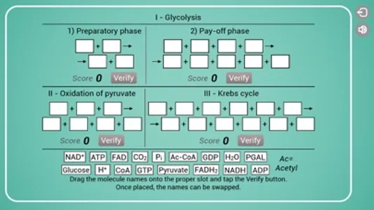 Biomolecules: Cell respiration screenshot 2