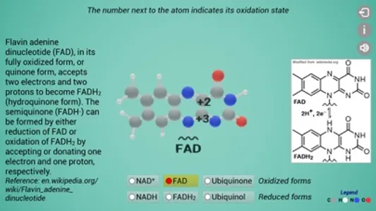 Biomolecules: Cell respiration screenshot 4