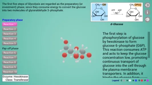 Biomolecules: Cell respiration screenshot 5