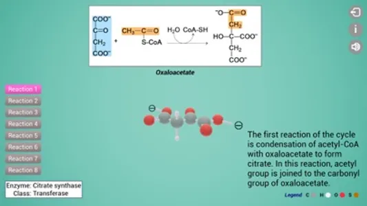 Biomolecules: Cell respiration screenshot 6