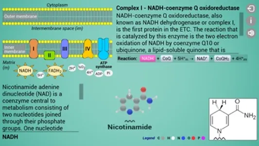 Biomolecules: Cell respiration screenshot 7