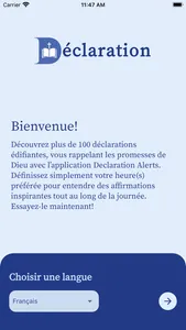 Declaration Alerts screenshot 1