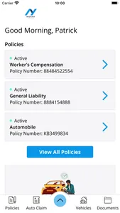 Novak Insurance Agency screenshot 1