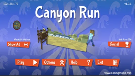 BTS Canyon Run screenshot 0