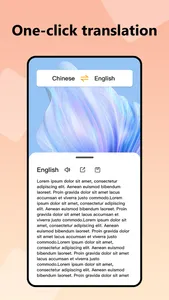 Traveler Translator screenshot 4