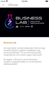 Business Lab screenshot 0