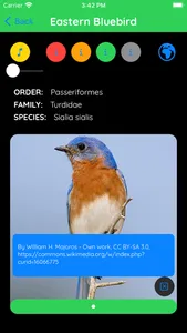 Bird Species Identifier screenshot 3