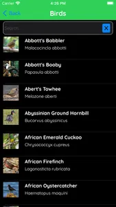 Bird Species Identifier screenshot 4