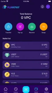 VLINKPAY screenshot 4