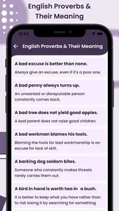 Idioms and Phrases - English screenshot 3