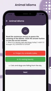 Idioms and Phrases - English screenshot 6