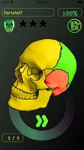 Skull Bones Easy Anatomy screenshot 2