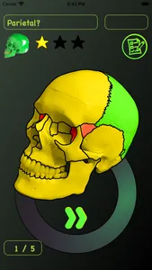 Skull Bones Easy Anatomy screenshot 3