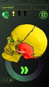 Skull Bones Easy Anatomy screenshot 4