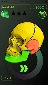 Skull Bones Easy Anatomy screenshot 7