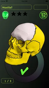 Skull Bones Easy Anatomy screenshot 8