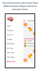 Human Organs screenshot 5