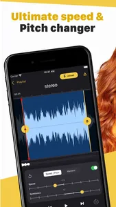 Music Speed & Pitch Changer screenshot 0