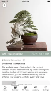 Mirai Mobile screenshot 1