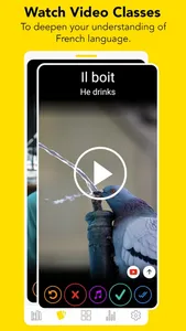 Ginkgo: Learn French Language screenshot 5
