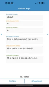 GlobaLingo screenshot 0