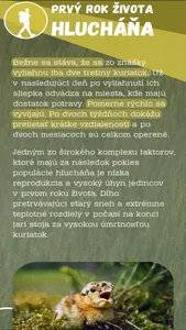 hlucháň hôrny screenshot 1