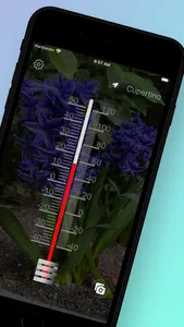 Thermometer Direct screenshot 1