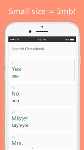 Spanish Phrasebook offline screenshot 4