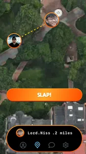 SLAP MVP screenshot 5