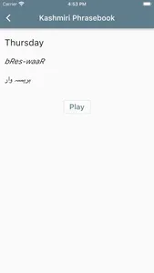 Kashmiri Phrasebook screenshot 2
