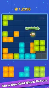 Tetra Block-Brick Puzzle screenshot 6