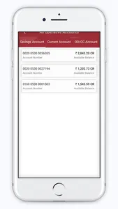 NDVS BANK MOB APP screenshot 7