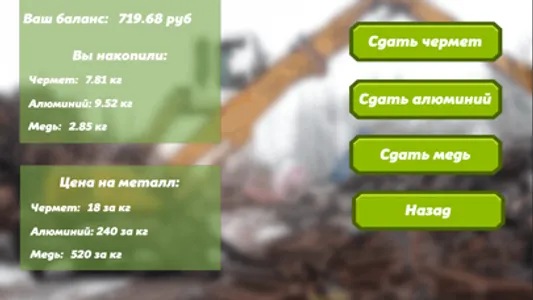 Metal Digger - поиск металла screenshot 5