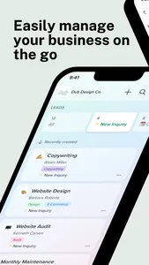 Dubsado screenshot 0