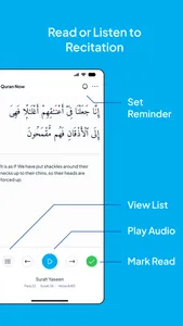 Quran Now screenshot 2
