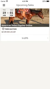 ASE Auctions screenshot 0