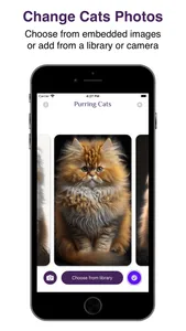 Purring Cats screenshot 2